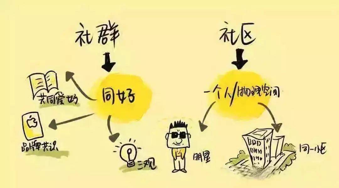 谜语社群中的红粉知己，文学与情感的交织探索