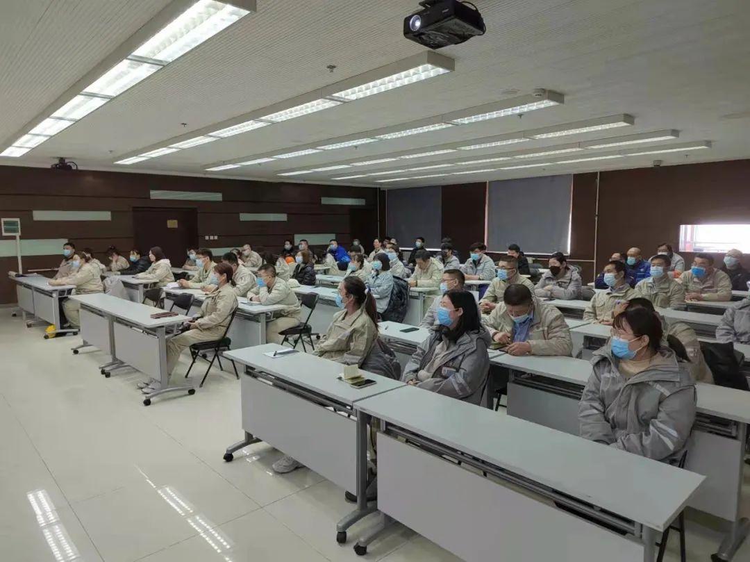 生肖谜题背后的智慧，破译四十出师三有名，筑牢防诈防火墙