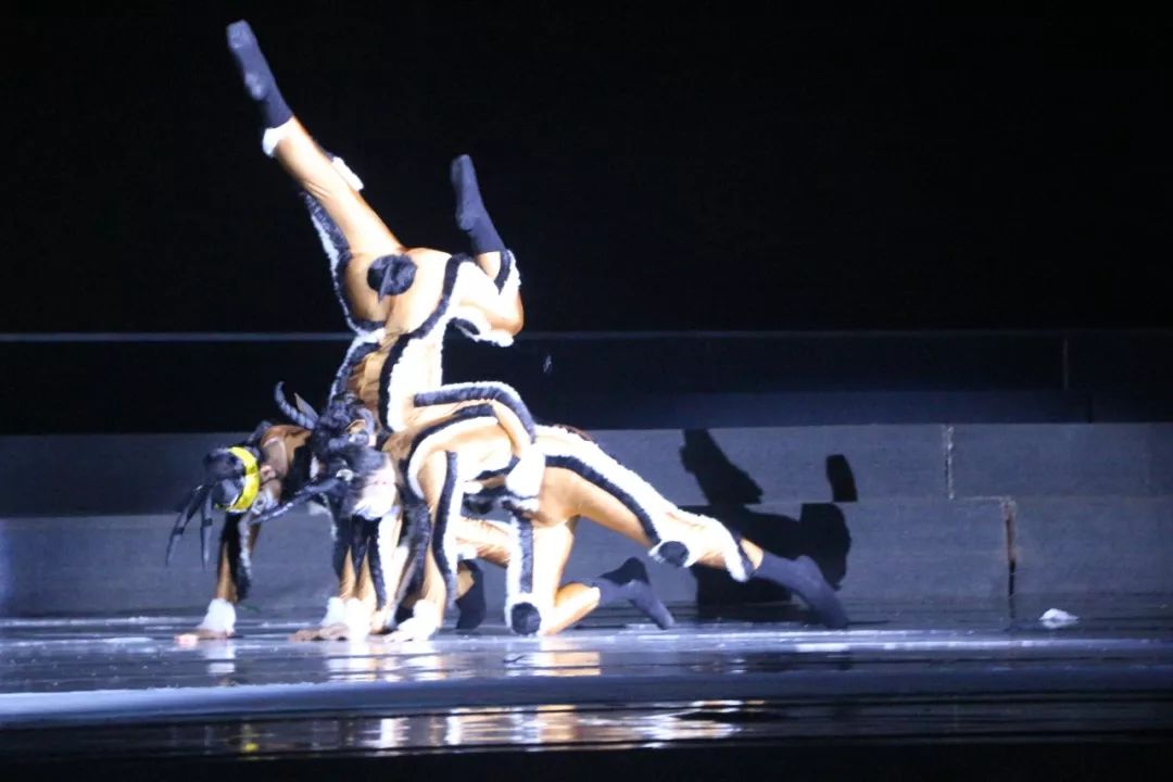 谜语潮流，姿熊萬千人被迷，精于歌舞使殺機