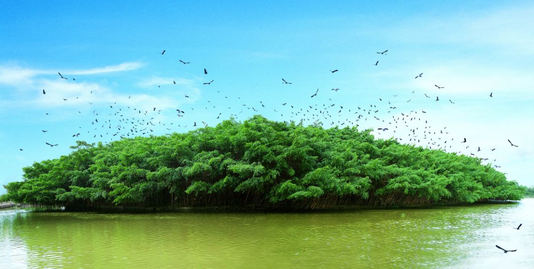 谜语发展，春意融融的文学探索