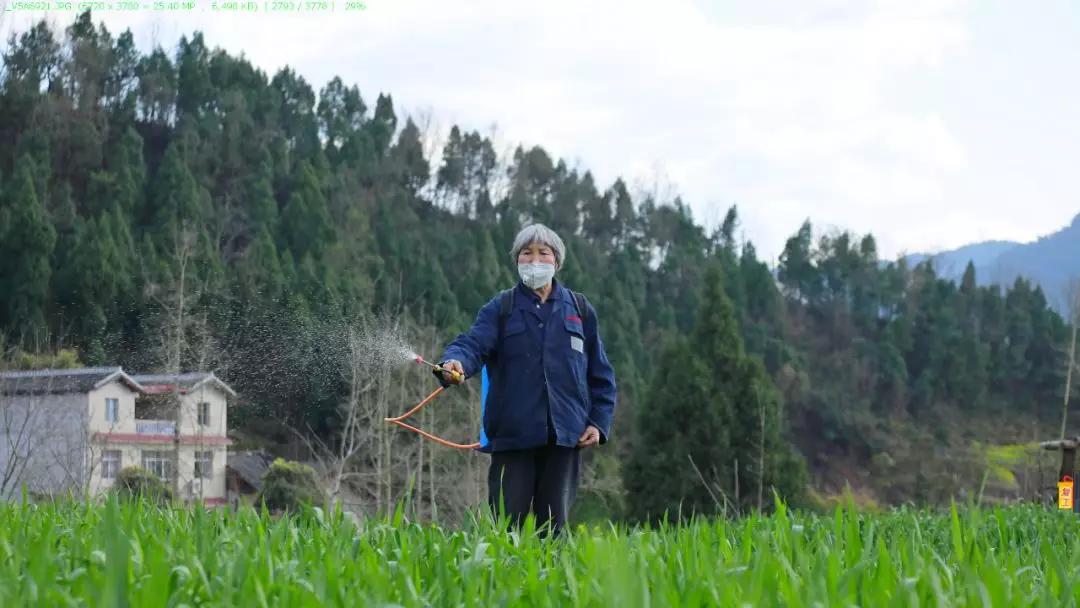 谜语时光，春意融融