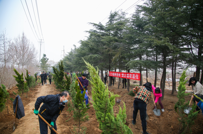 谜趣:今期马虎牛出特，春风豆营抽新绿