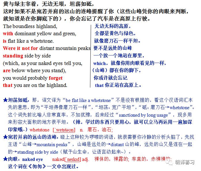 暗语开花结果的文学意蕴与象征解析