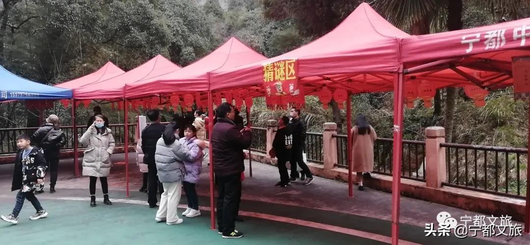 谜语节日，解读今期马虎牛出特，春风豆营抽新绿