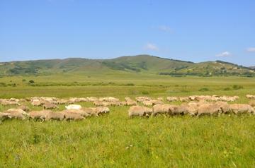 谜语变体:一马平川
