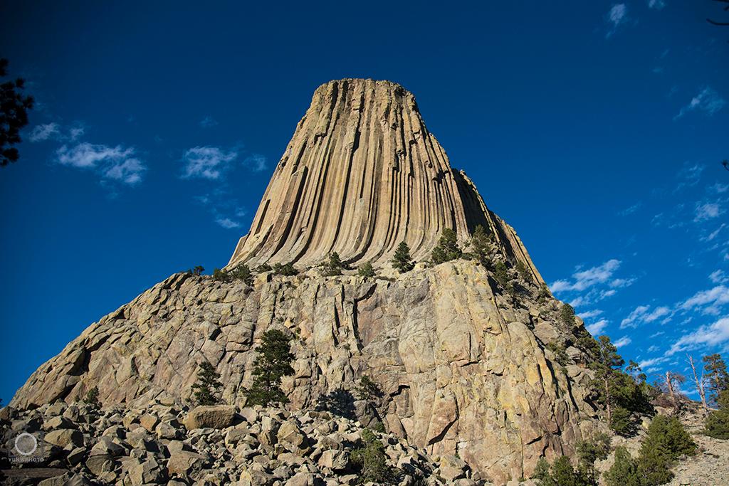 文字谜，姿熊萬千人被迷，精于歌舞使殺機