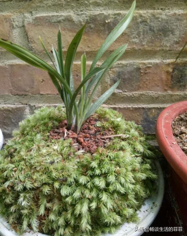 趣味谜，得物無用，也是多餘，開餃醫肚最划算