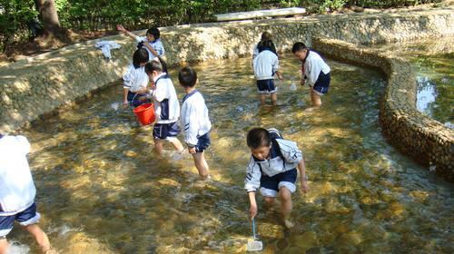 谜语休闲，神机妙算诸葛刘，两仪四象演春秋