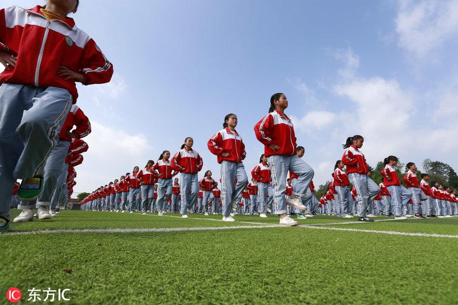 谜语游戏，问牛知马