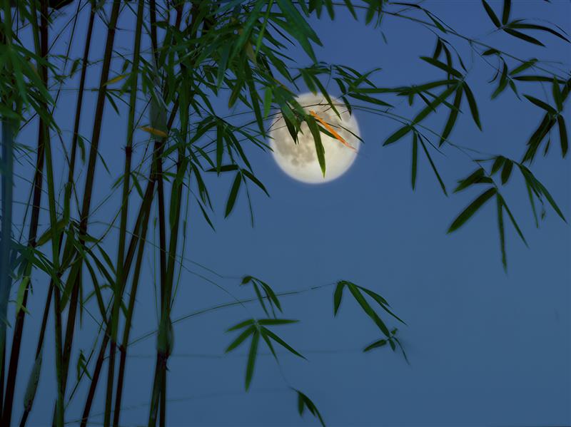 谜语时光，疏梅横斜水清浅，瘦竹低垂月未央