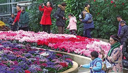 问，春花怒放这一意象，在文学作品中常常出现，它蕴含了怎样的深层含义？