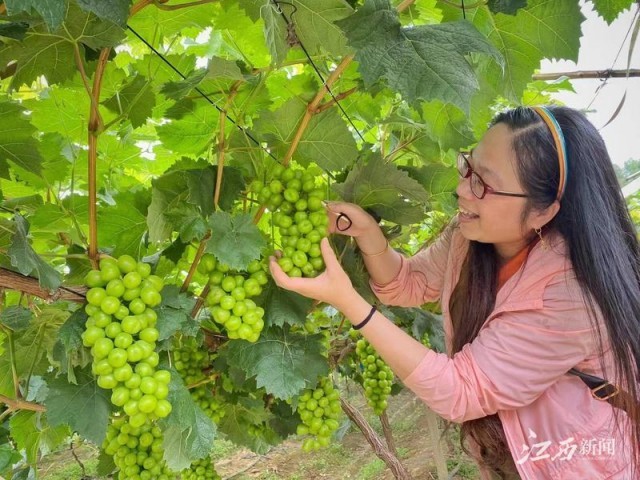 谜语习俗探秘，游地府太宗还魂，进瓜果刘全续配