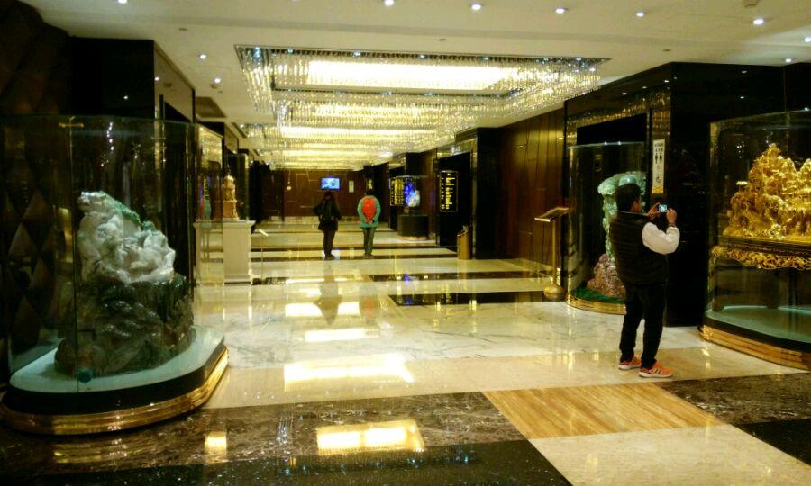 澳门1月3日晚生肖预测，解码热门肖号背后的逻辑与真相