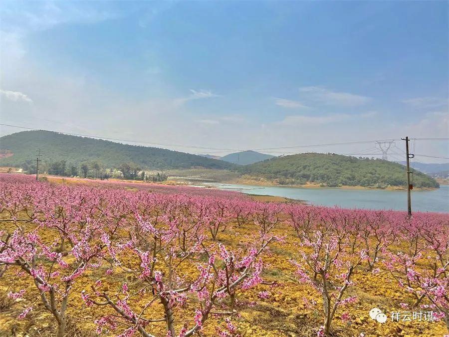 春风不见寻花伴，左对苍山右流水，探索谜语风格的文学魅力