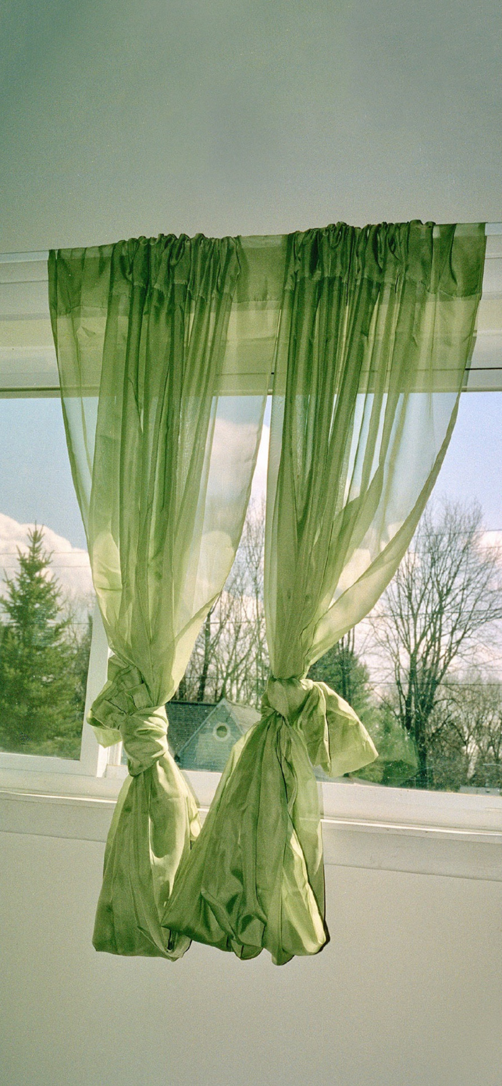 谜语理论，频苔嫩色涵波绿—文学教育中的隐喻与象征探索