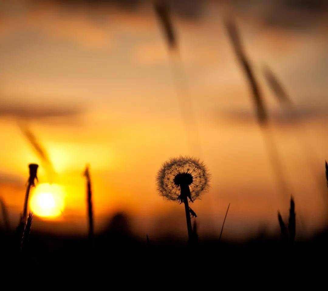 谜语优化，探寻欲钱找细水长流的深层意蕴