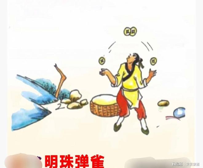 孝笋探秘，生肖谜语背后的科技与人文交响