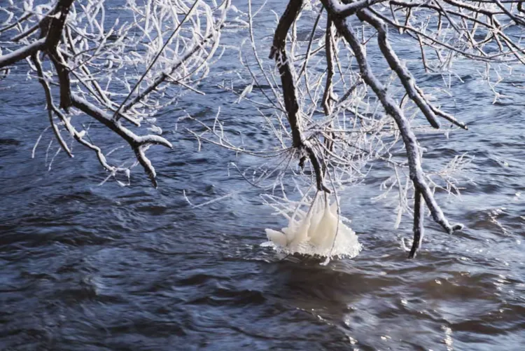 谜语吸引力，一心成仙浮晓日，碧水凝冰映暖阳