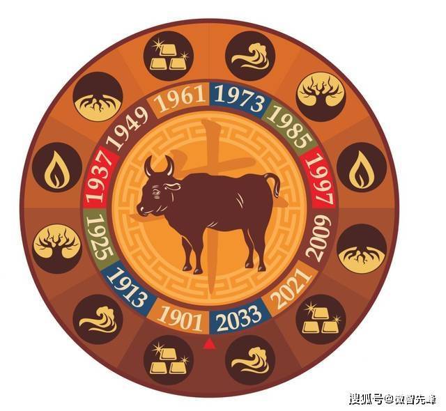 解码生肖密码，从三二父开二五件中探寻精准生肖的智慧之旅