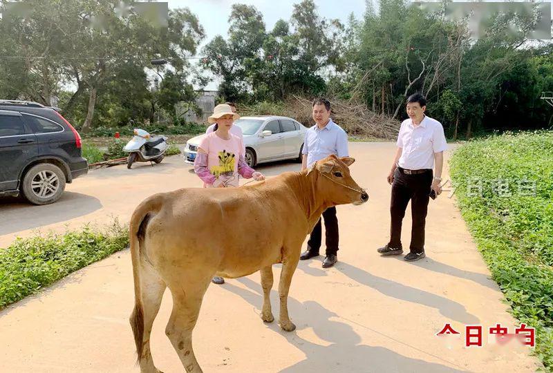 推理谜，西天取经阴重重，牛来做媒牵红线