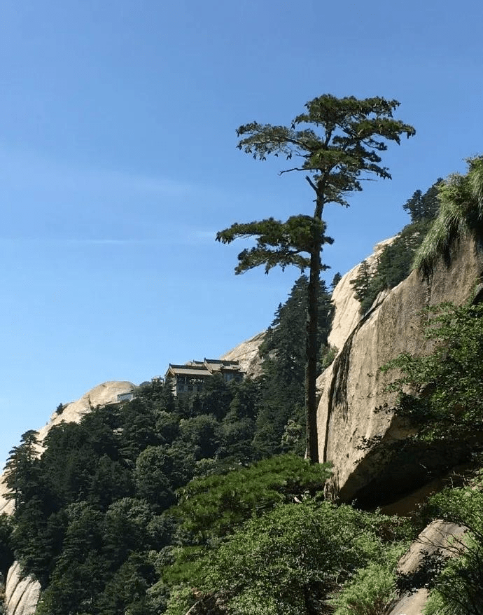 谜语大师:博弈猶賢,不識計較。安得仙人九节杖 谜语大师:博弈猶賢,不識計較。安得仙人九节杖