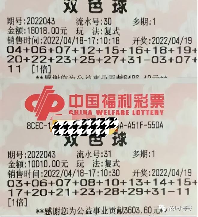 2026新奥彩兔年正版资料深度解析，科学预测与实战技巧全公开