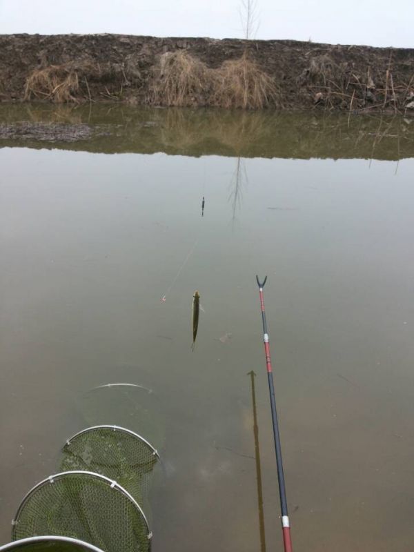 文字谜，小童垂钓在湖边，珠字二三势最劲—探寻汉字之美与文学之谜