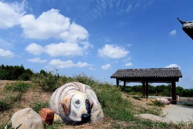 谜语实践:常见之物是猪狗，马带龙跑蛇缠身