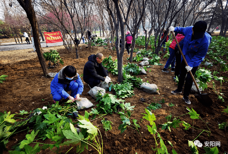 谜趣:今期马虎牛出特,春风豆营抽新绿 谜趣:今期马虎牛出特,春风豆营抽新绿