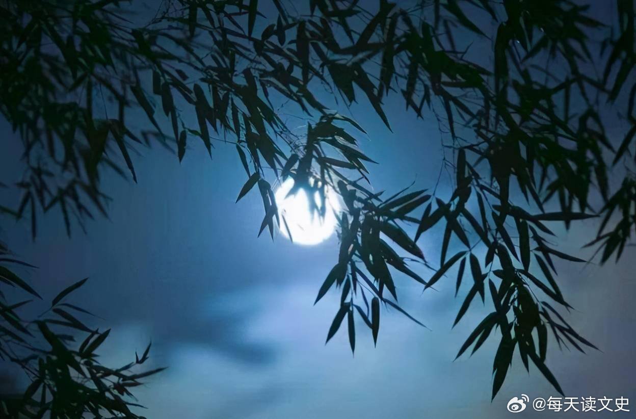 谜题游戏，疏梅横斜水清浅，瘦竹低垂月未央