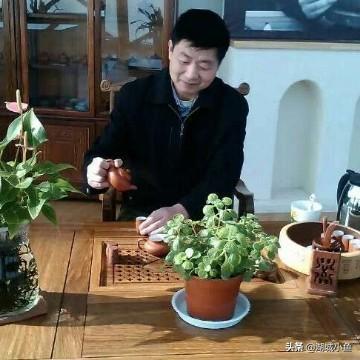 谜语创作，今期三六开，四大才子中状元