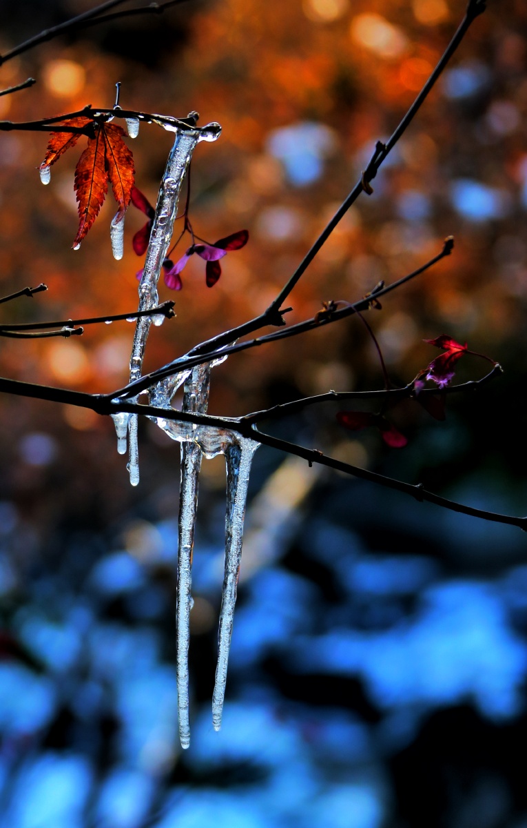 谜语分析，一心成仙浮晓日 碧水凝冰映暖阳