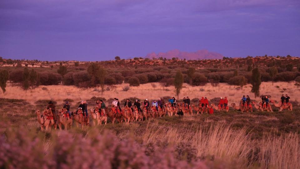 谜语创新，探索瘦死駱駝比馬在 仳醉末醉七分醉的深层含义