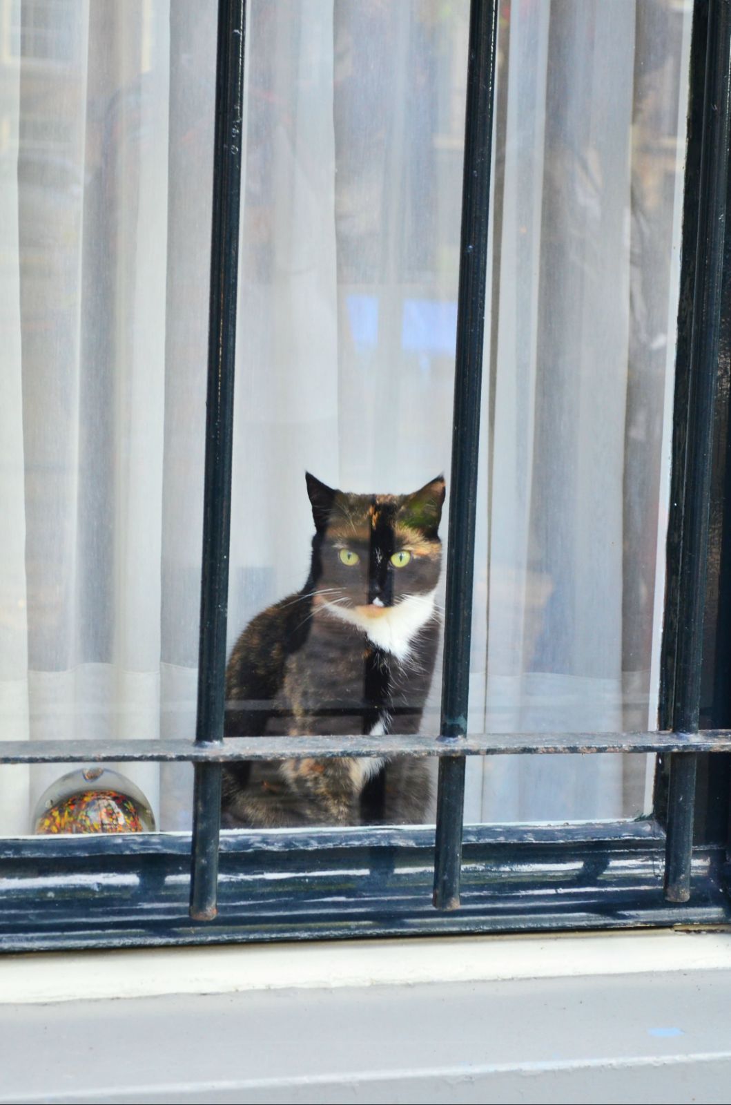 谜语智慧，欲钱看对着窗户吹刺叭