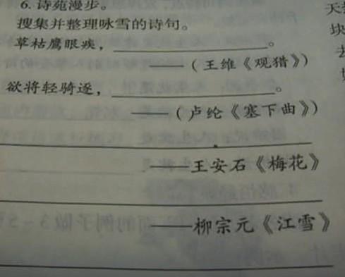 谜语评估，解析六月飞霜纷纷下，曾人透码观当时