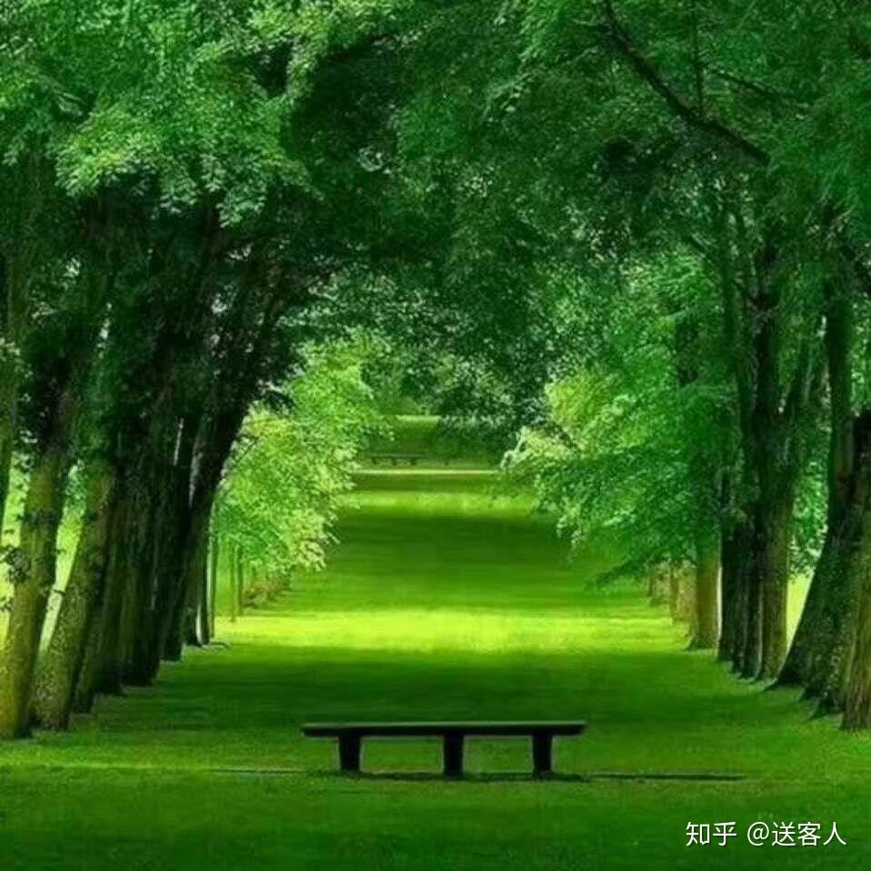 隐语，频苔嫩色涵波绿