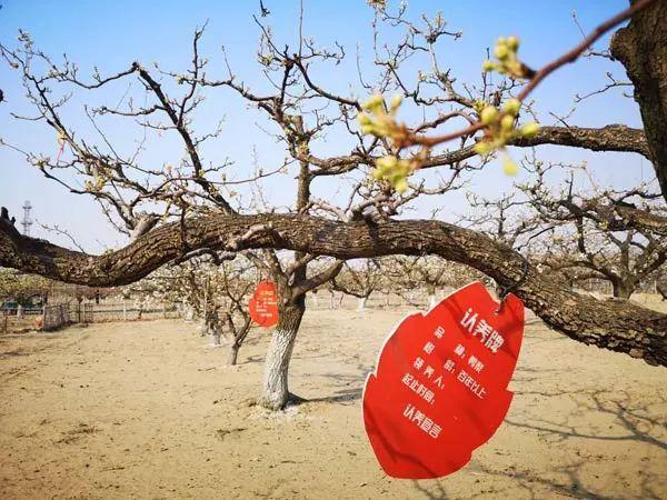 猛虎报资料库，免费资讯的海洋，助你乘风破浪的智慧引擎