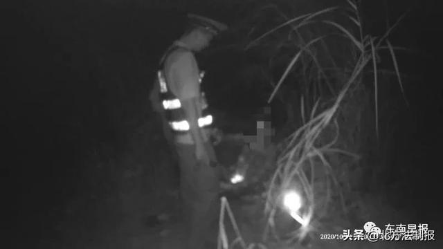 谜语影响:常见之物是猪狗，马带龙跑蛇缠身