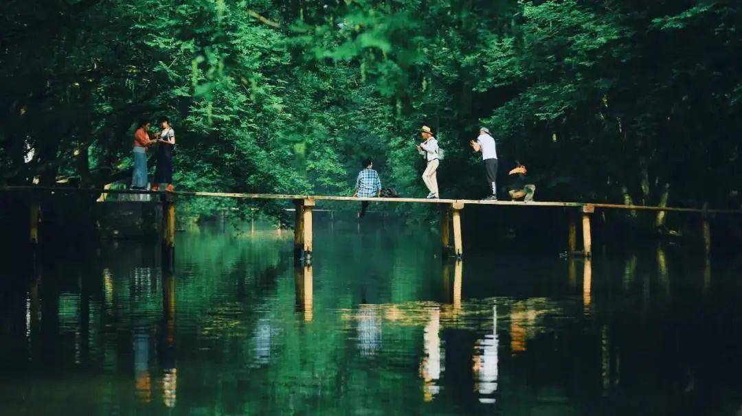 谜语时刻，红英初绽倚春山，蓝溪绕岸水潺潺