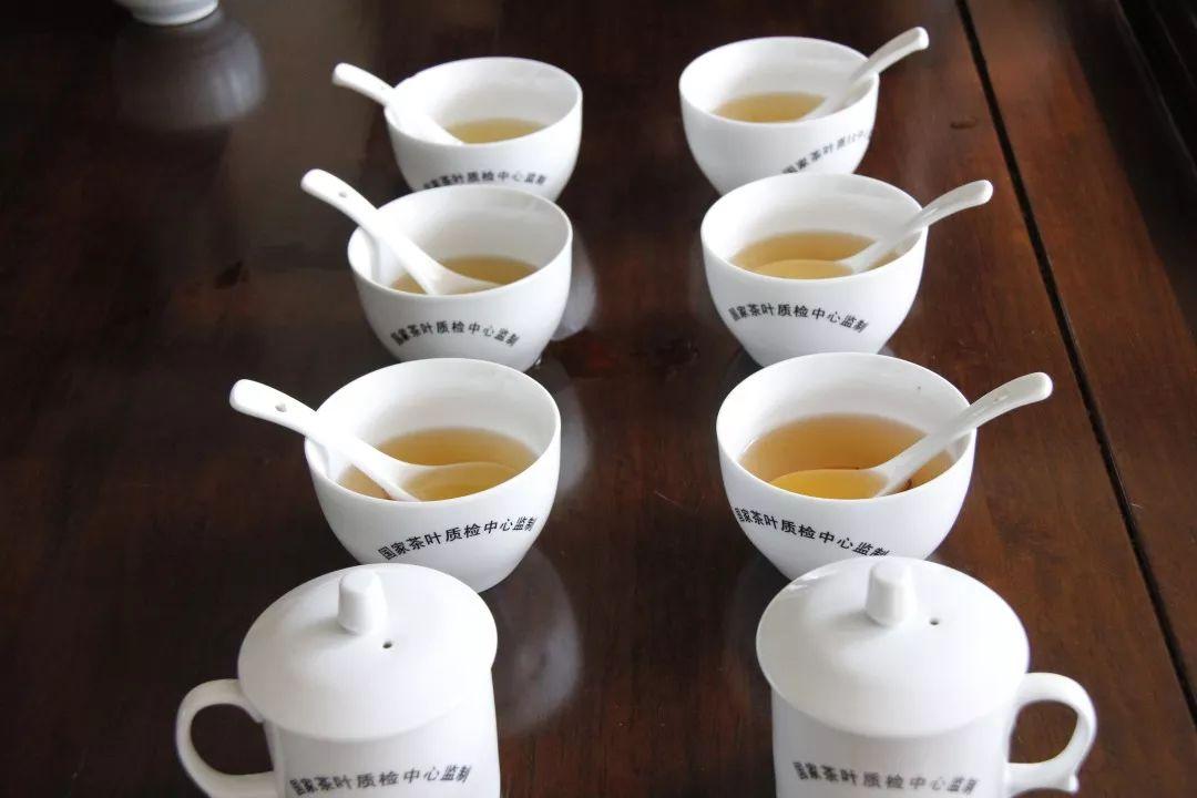 谜语书籍，岁月更迭