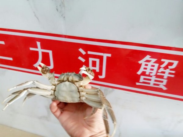 谜语价值,探索一心成仙浮晓日,碧水凝冰映暖阳的深层意蕴 谜语价值,探索一心成仙浮晓日,碧水凝冰映暖阳的深层意蕴