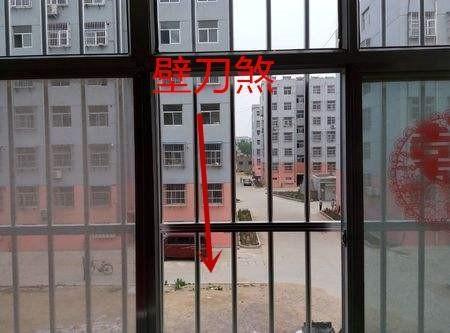 谜语魅力，解读欲钱看对着窗户吹刺叭