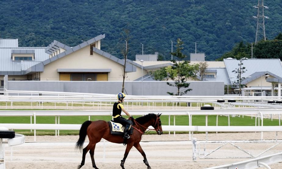 2026年马会传真新动态，科技赋能下的赛事革命与冠军争夺战