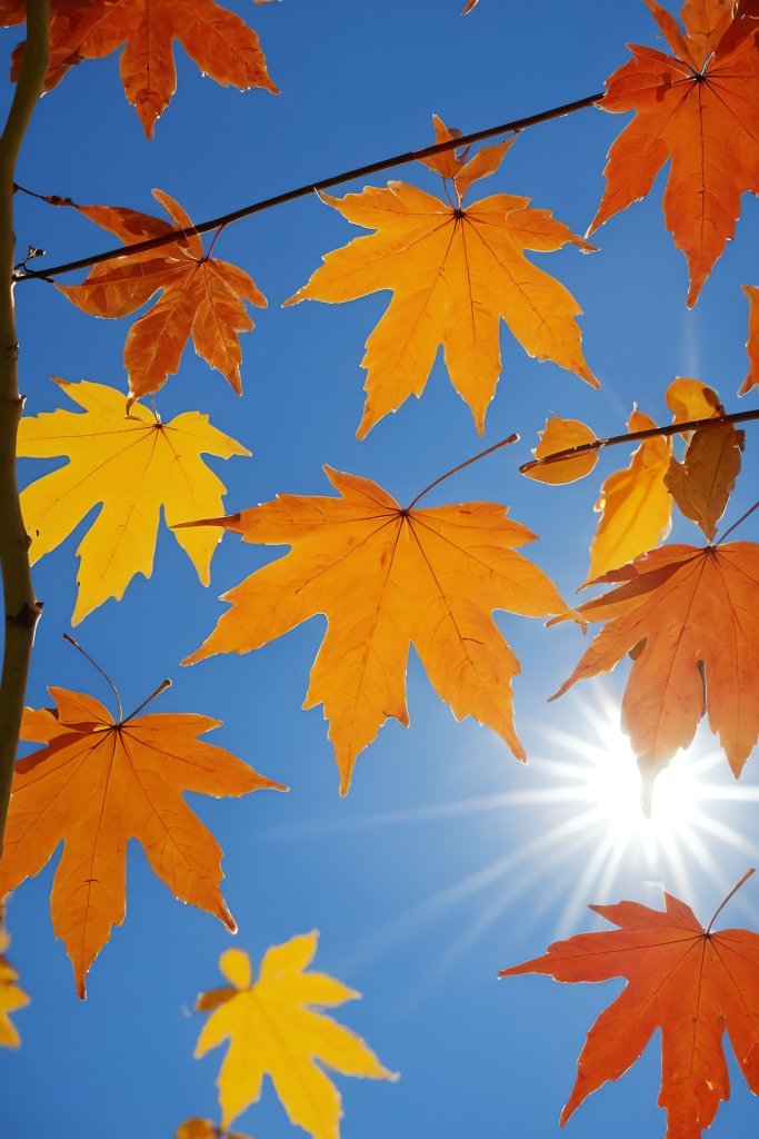 谜语时刻，十八姑娘一朵花，五颜六色景如画