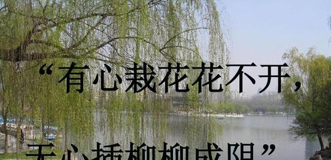 文字谜中的诗意哲学，无心插柳柳成荫的千年回响