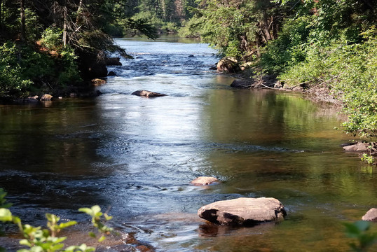 谜语研讨会，解析红英初绽倚春山，蓝溪绕岸水潺潺