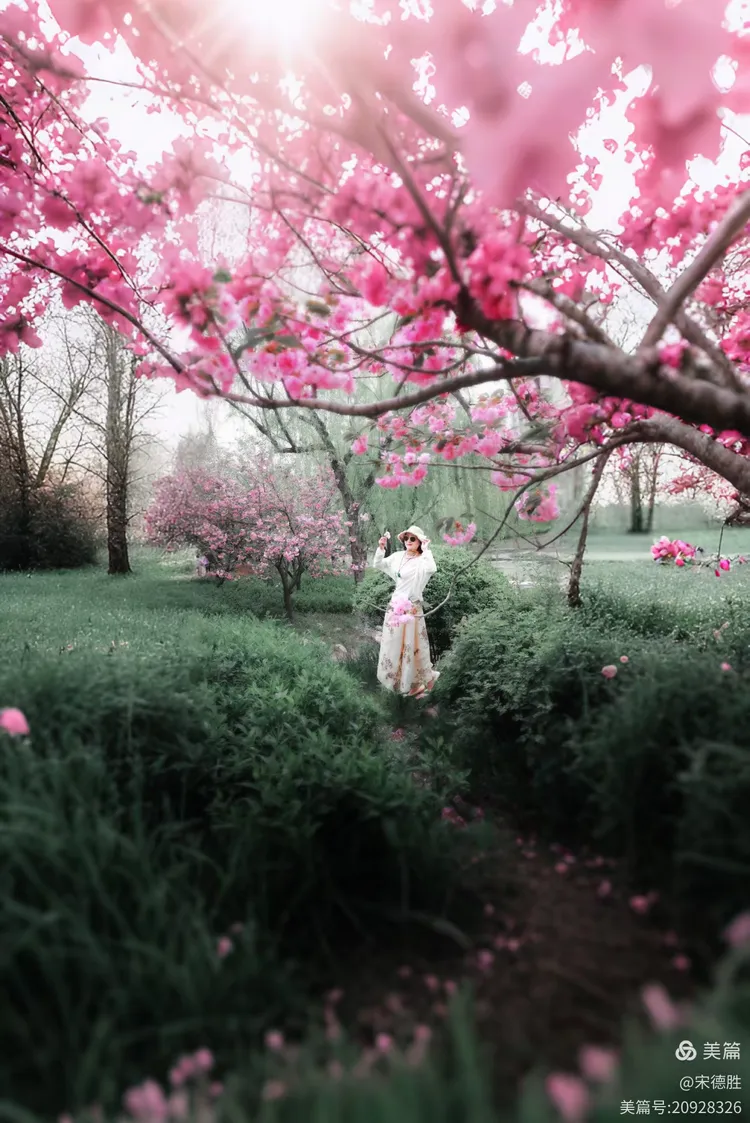 春风不见寻花伴，左对苍山右流水，文学中的自然与人性之谜