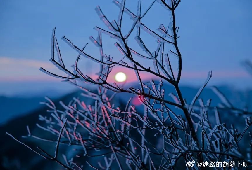 谜语影响:岁月更迭