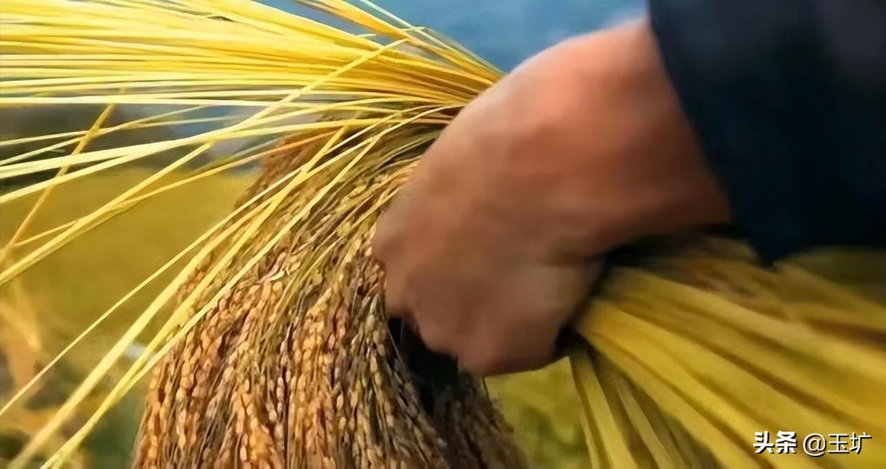 谜语聚会，殷鉴不远