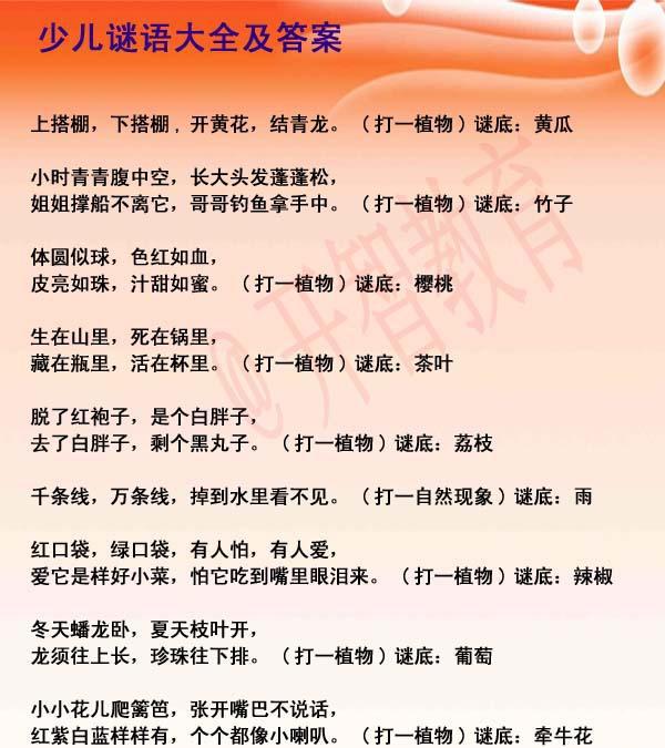 谜语问答，当居家女人真糊涂遇上生活智慧，一场趣味与哲理的碰撞